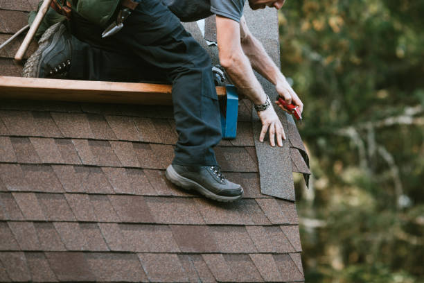 Best Roof Gutter Cleaning  in Rosamond, CA